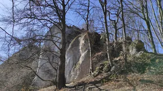 Zegarowa