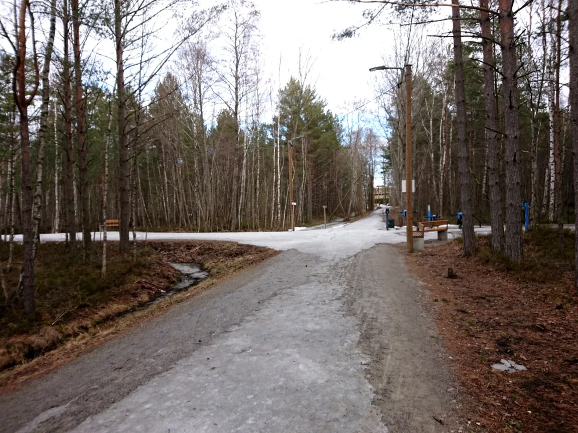 Õismäe Raba Terviserada