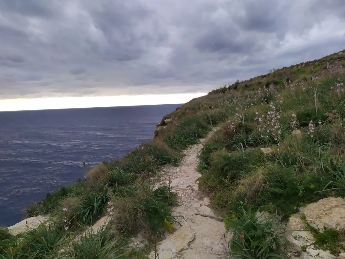 Pullicino's Cove
