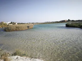 Parco naturale regionale del Bosco e Paludi di Rauccio