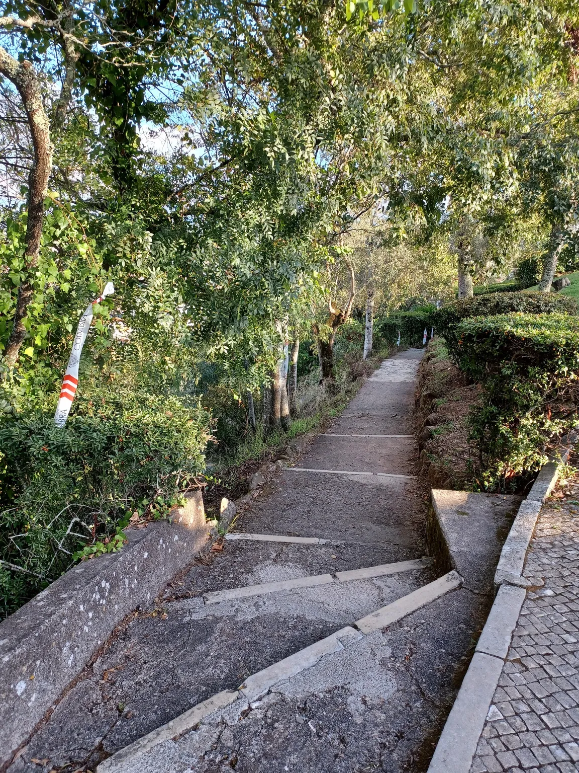Miradouro do Penedo da Saudade