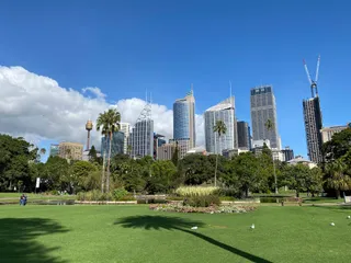 Mare and Foal Lawn