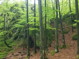 Park Narodowy „Zaczarowany Kraj”