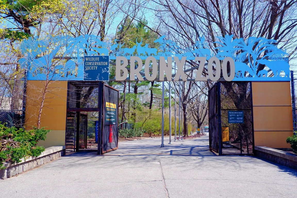 Bronx Zoo
