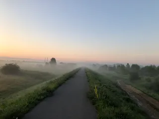 Wiślana Trasa Rowerowa - WTR 60 km do Krakowa