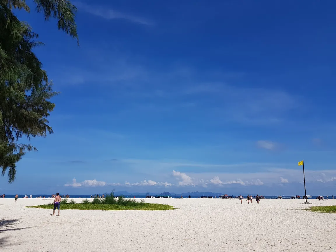 Bamboo Beach