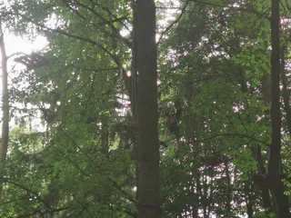 Park Miejski im. Rotmistrza Witolda Pileckiego