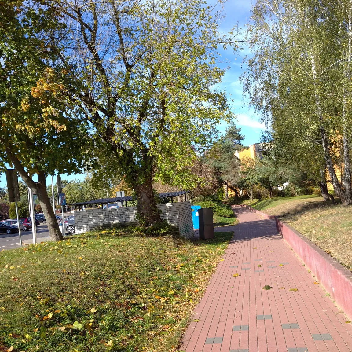 Plac zabaw przy gabinecie neurologicznym