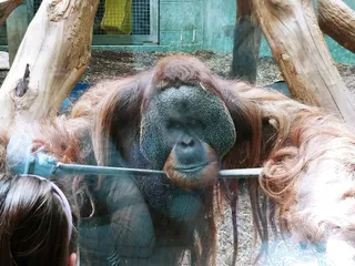 Louisville Zoo