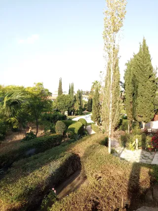Paradise Gardens 3