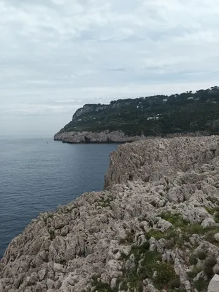 Mesola Fort
