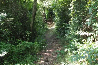 Huangshanlu Forest Park （West Gate）