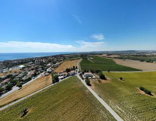 Azienda Agricola Conte Leopardi