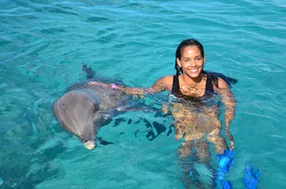 Dolphin Academy Curacao