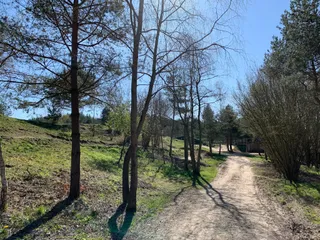 Dirt Force Bike Park