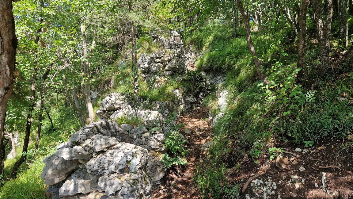 Fortini Napoleonici e Doss Corno