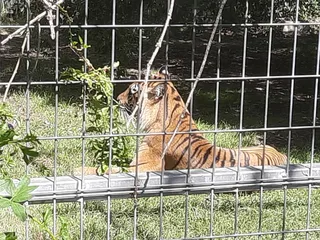 Darling Downs Zoo