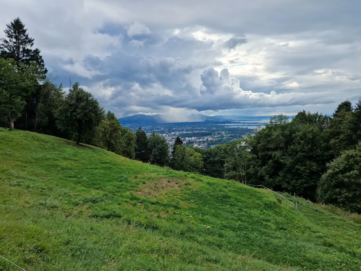 Pfänder