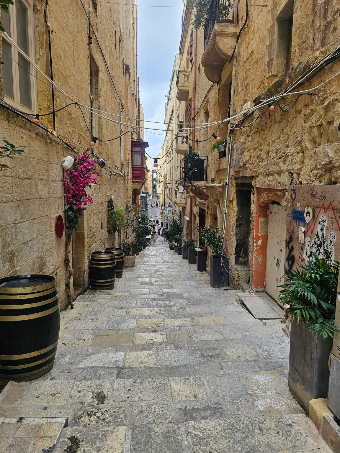 Malta 5D