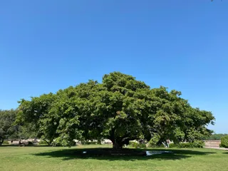 Hiran Minar Park