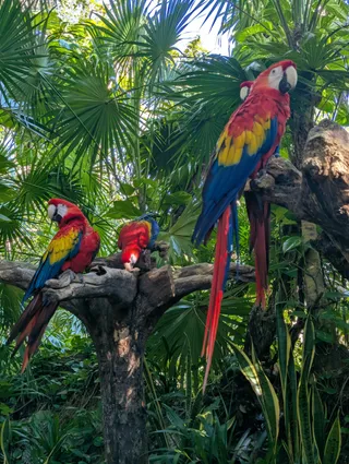 Xcaret Park