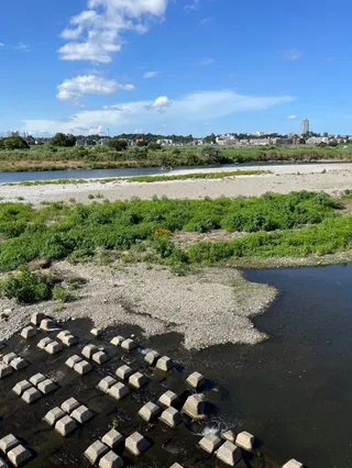 Tama River Green Area (Futago Kuji District)
