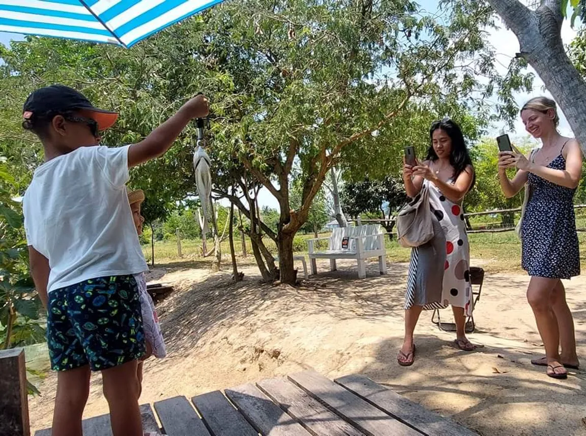 Flamingo-Koh Samui Fishing Cafe & Farm(490 baht)