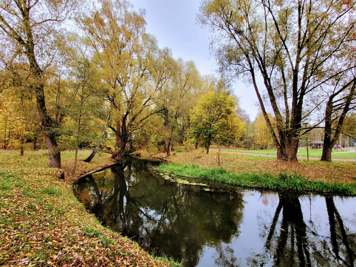 Park centralny