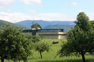 Museum für Musikautomaten