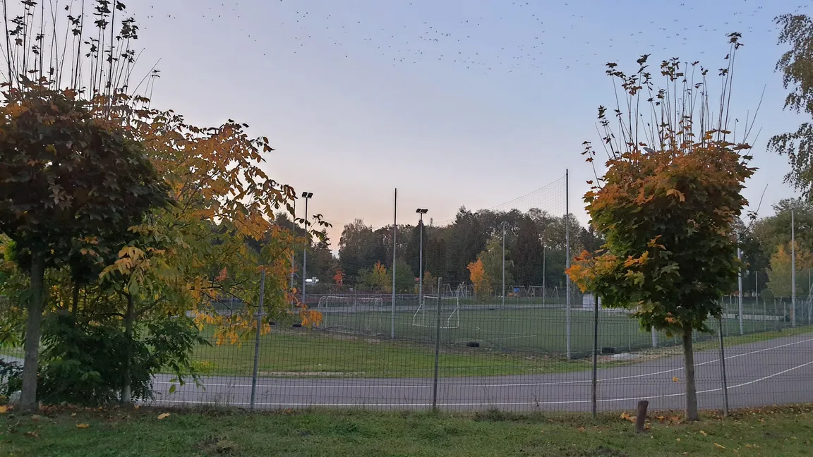 Parcul Sportiv