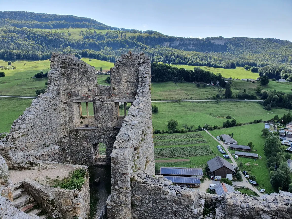 Ruine Schloss Neu-Falkenstein