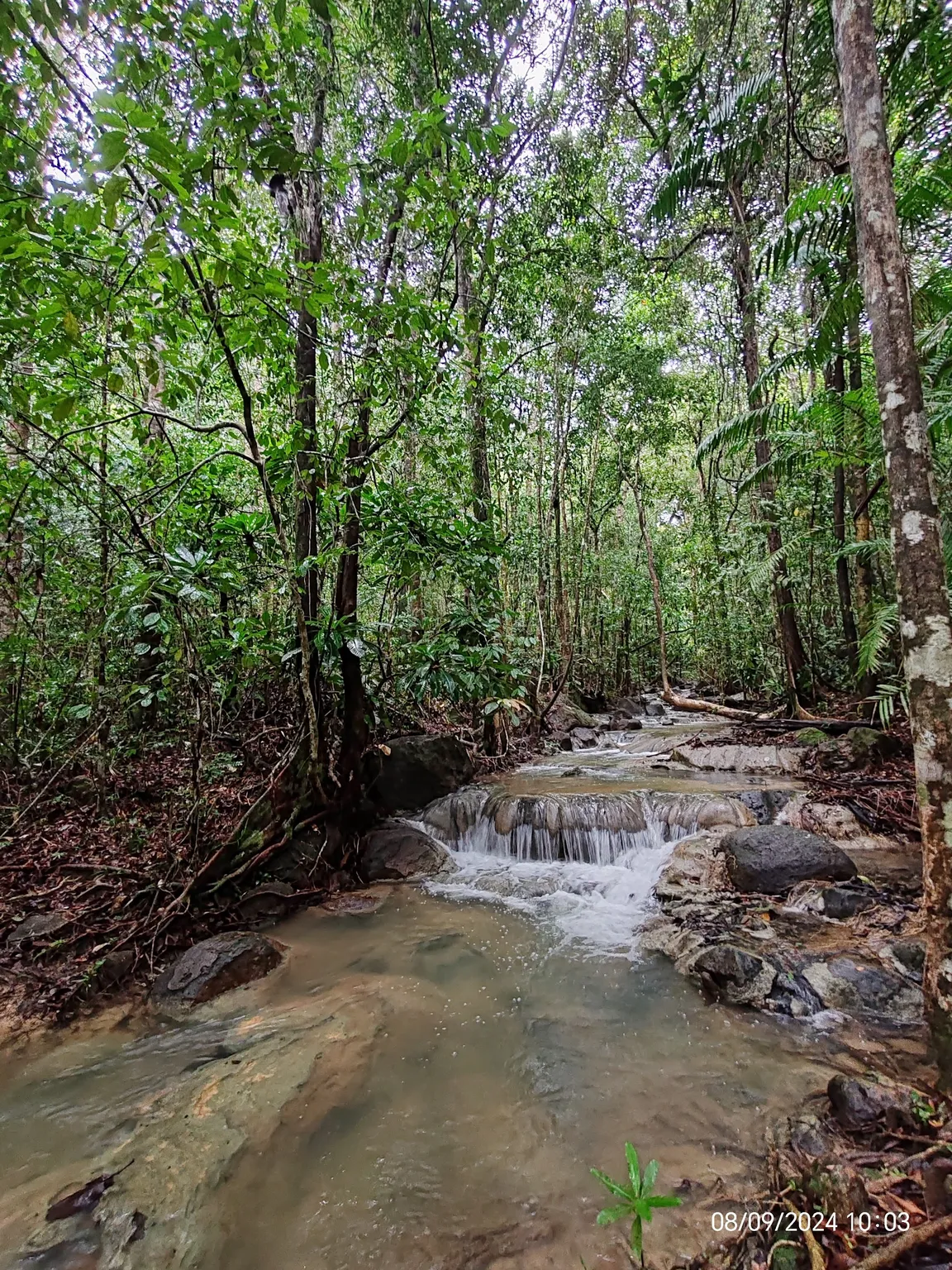 Khao Ngon Nak Nature Trail