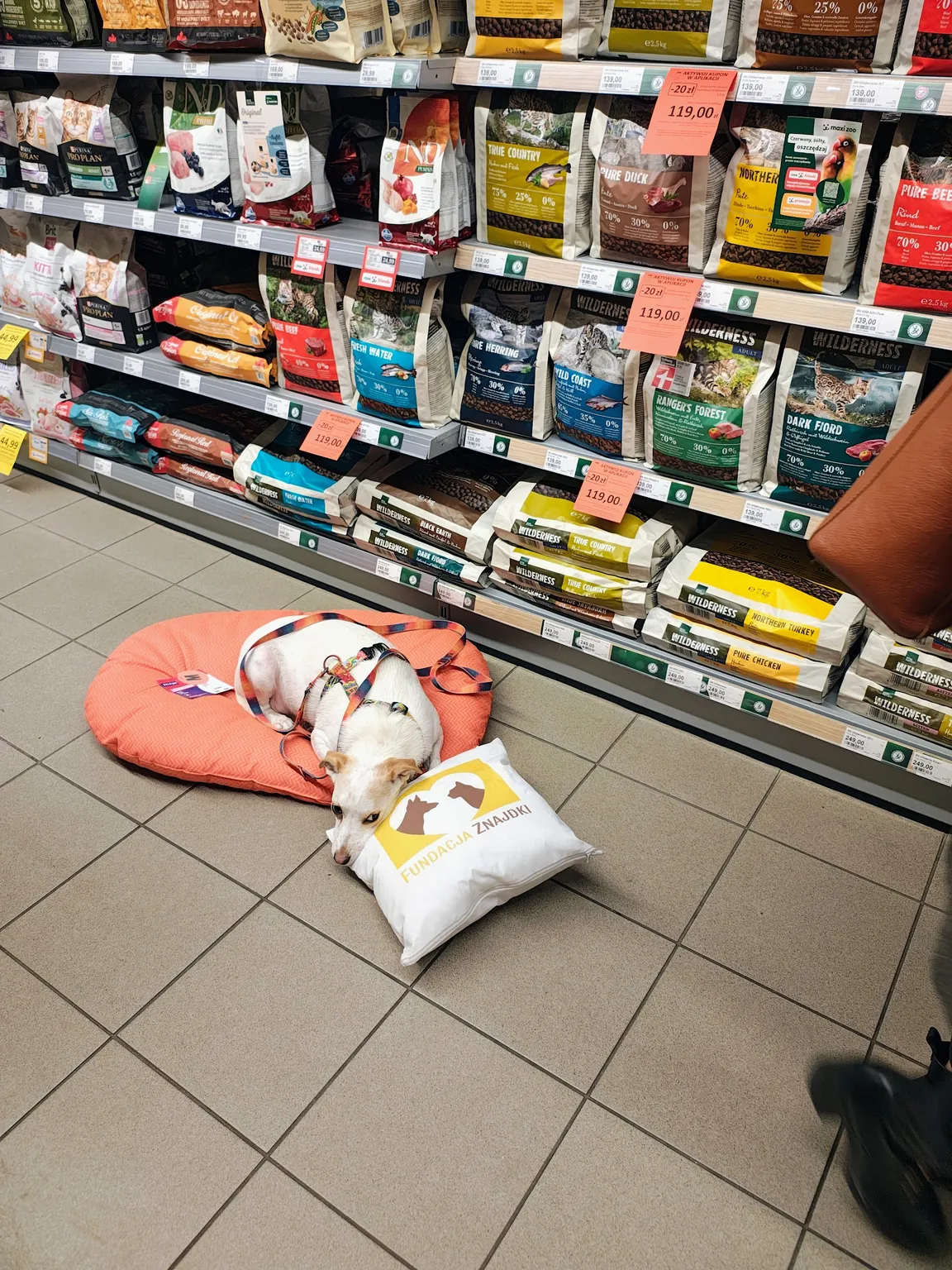 Maxi Zoo Warszawa Żoliborz