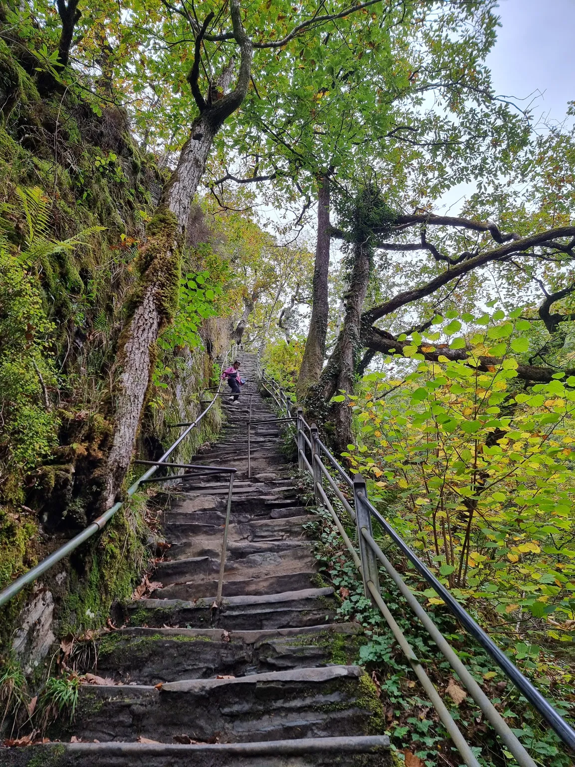 Devil's Bridge Waterfalls