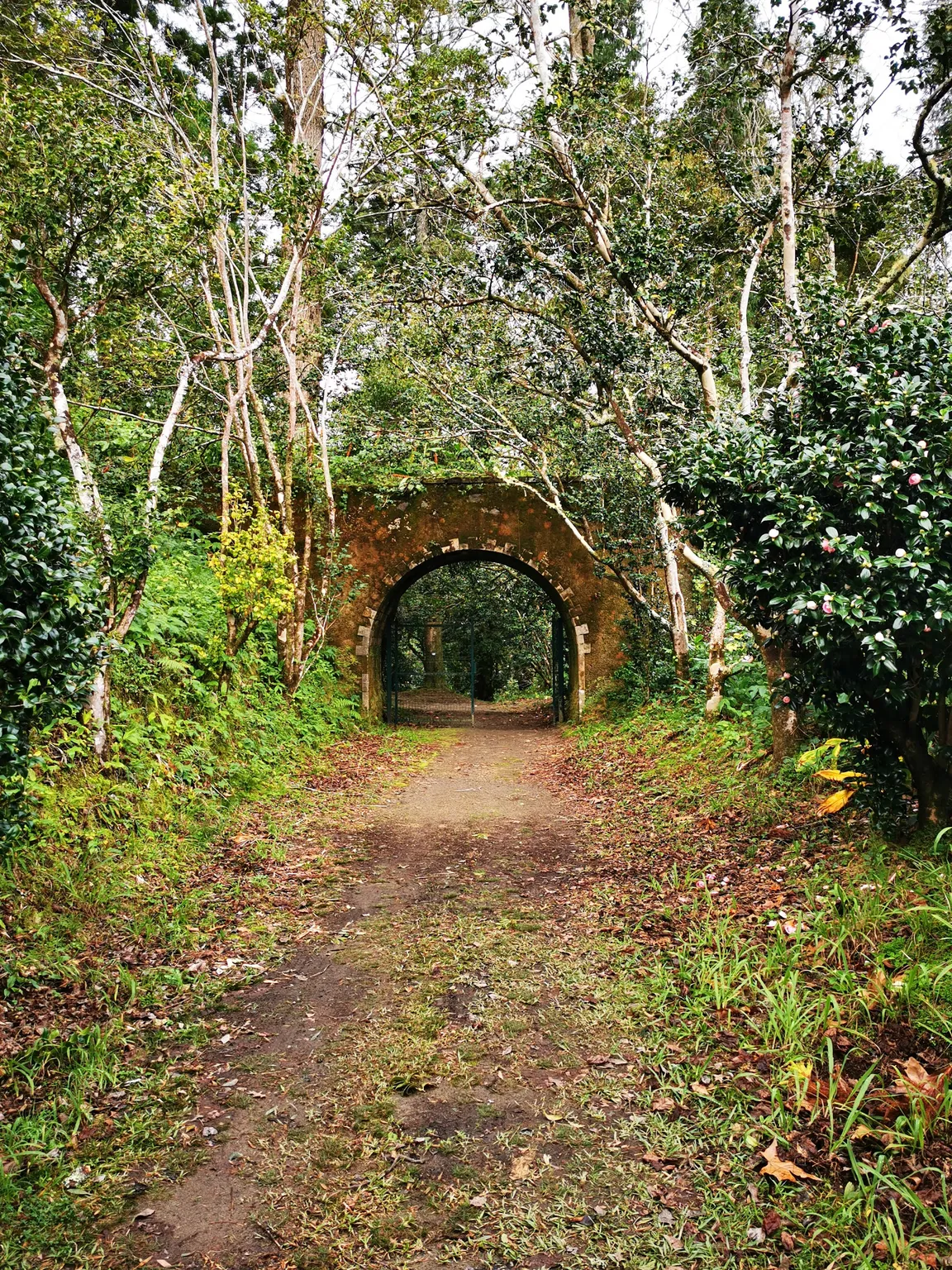 Mata Jardim José do Canto