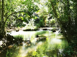 Samaná Travel