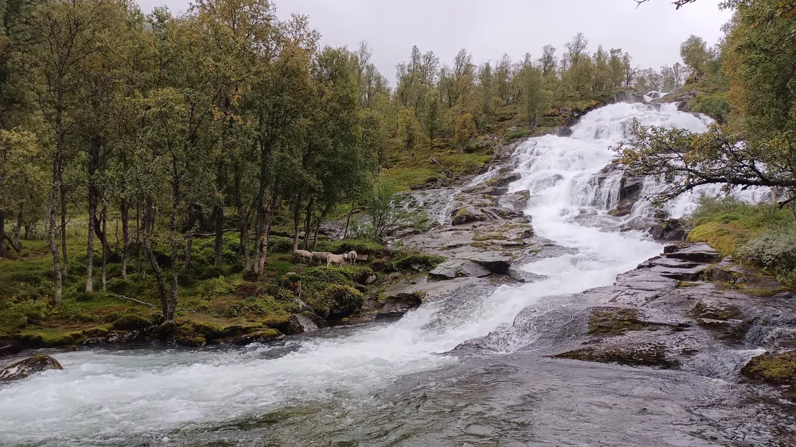 Aurlandsfjellet scenic route (north entry Lærdalsøyri)