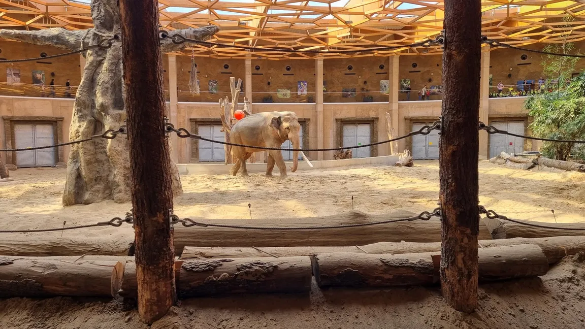 Orientarium ZOO Łódź
