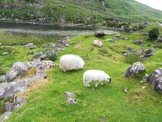 Strickeen Mountain