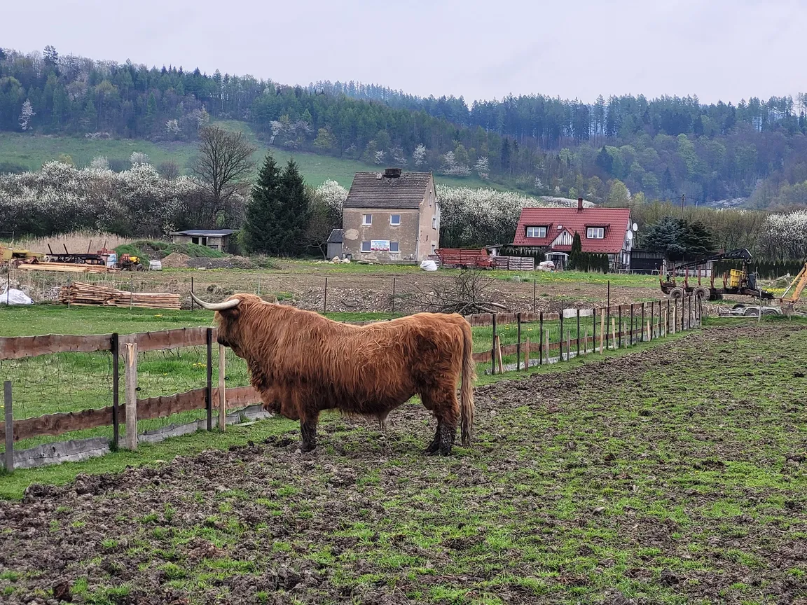 Szlak Ginących Zawodów