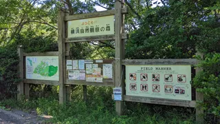 Yokohama Nature Observation Forest