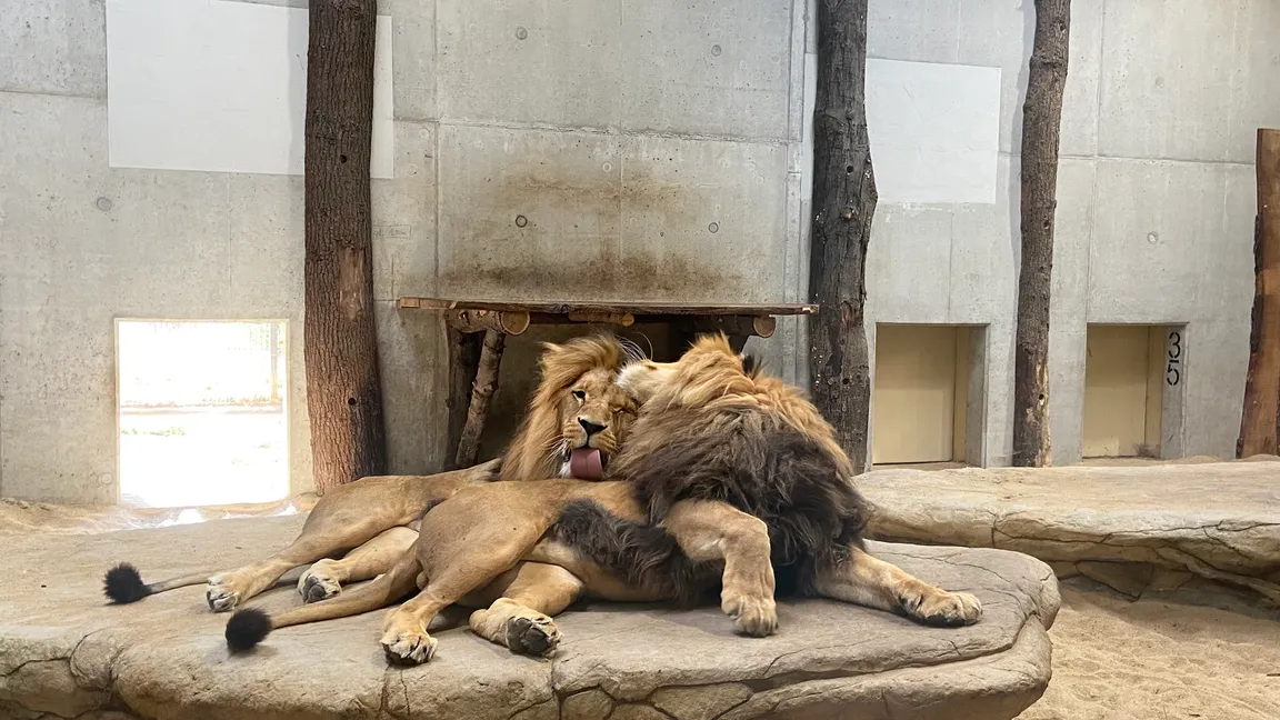 Zoo Opole