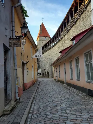 Tallinn Kinomaja Cinema