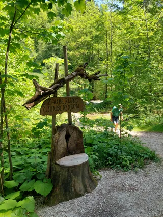 Ramsauer Ache im Zauberwald