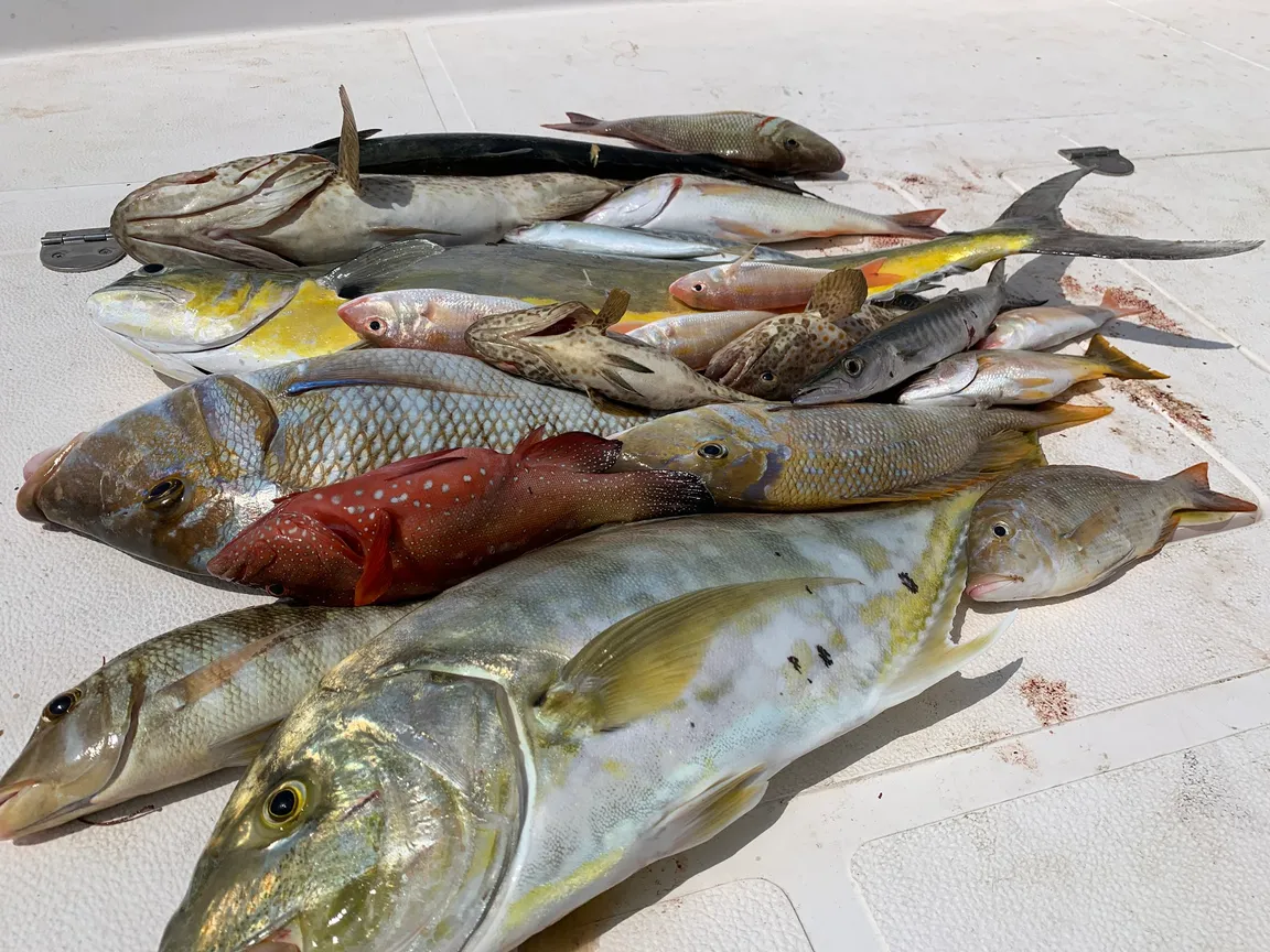 Ocealics Fishing Trips in Dubai