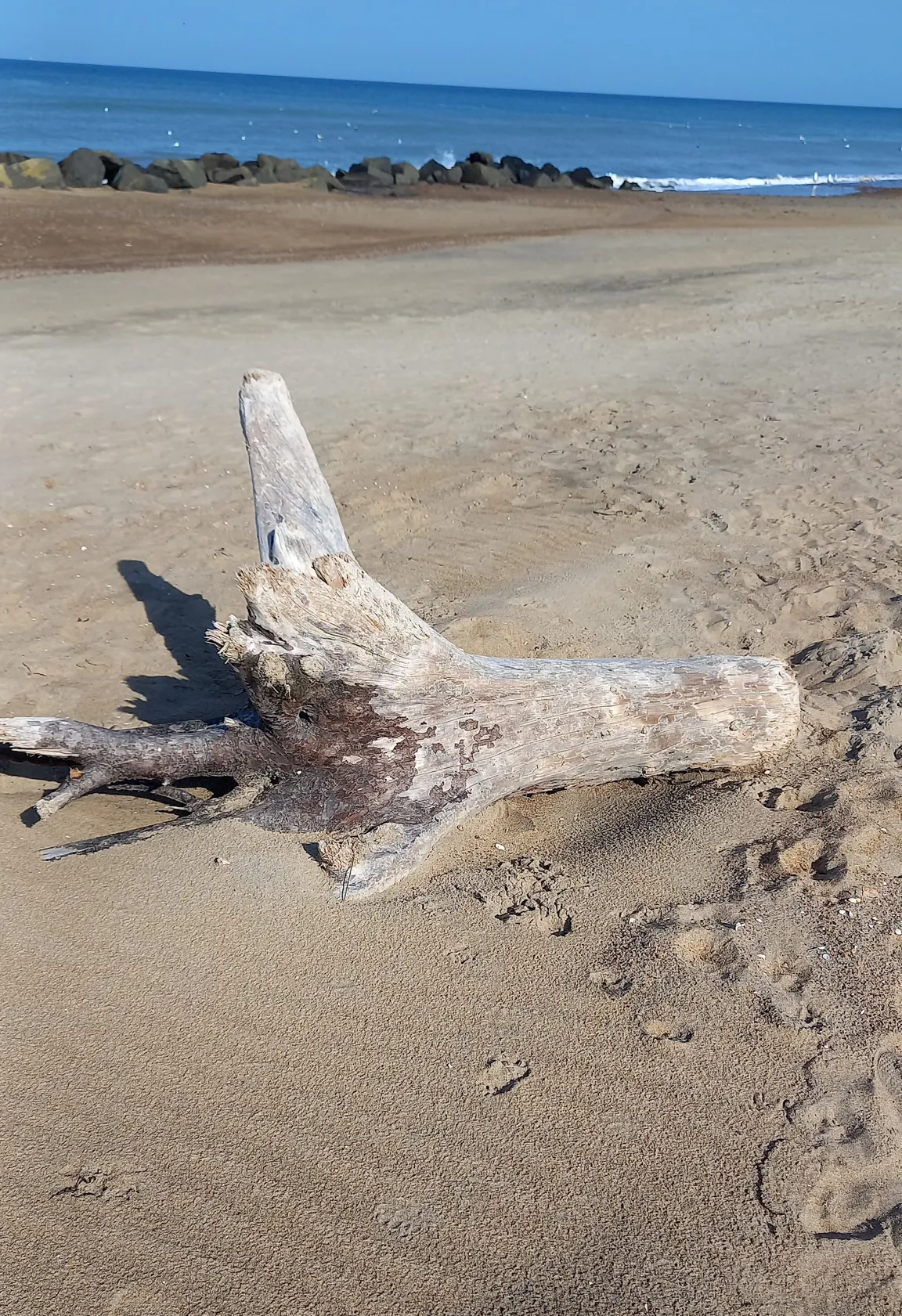 Lønstrup strand og klit