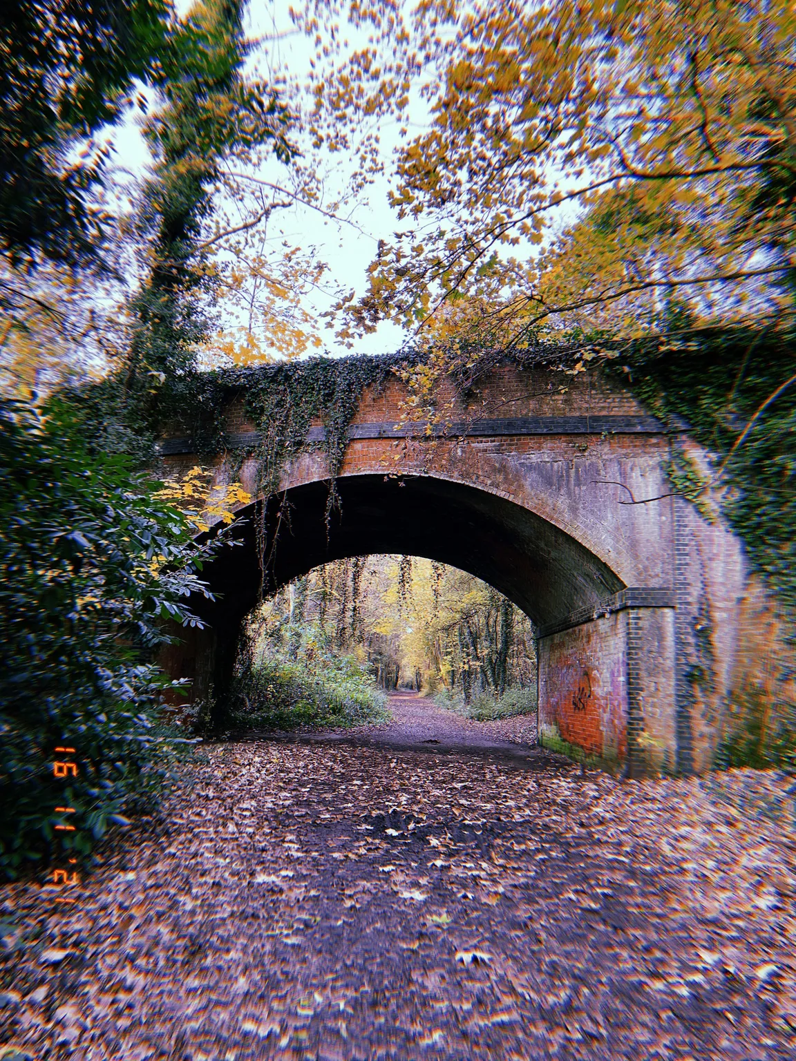Meon Valley Trail
