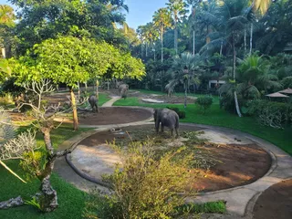 Elephant Safari Park Lodge Bali