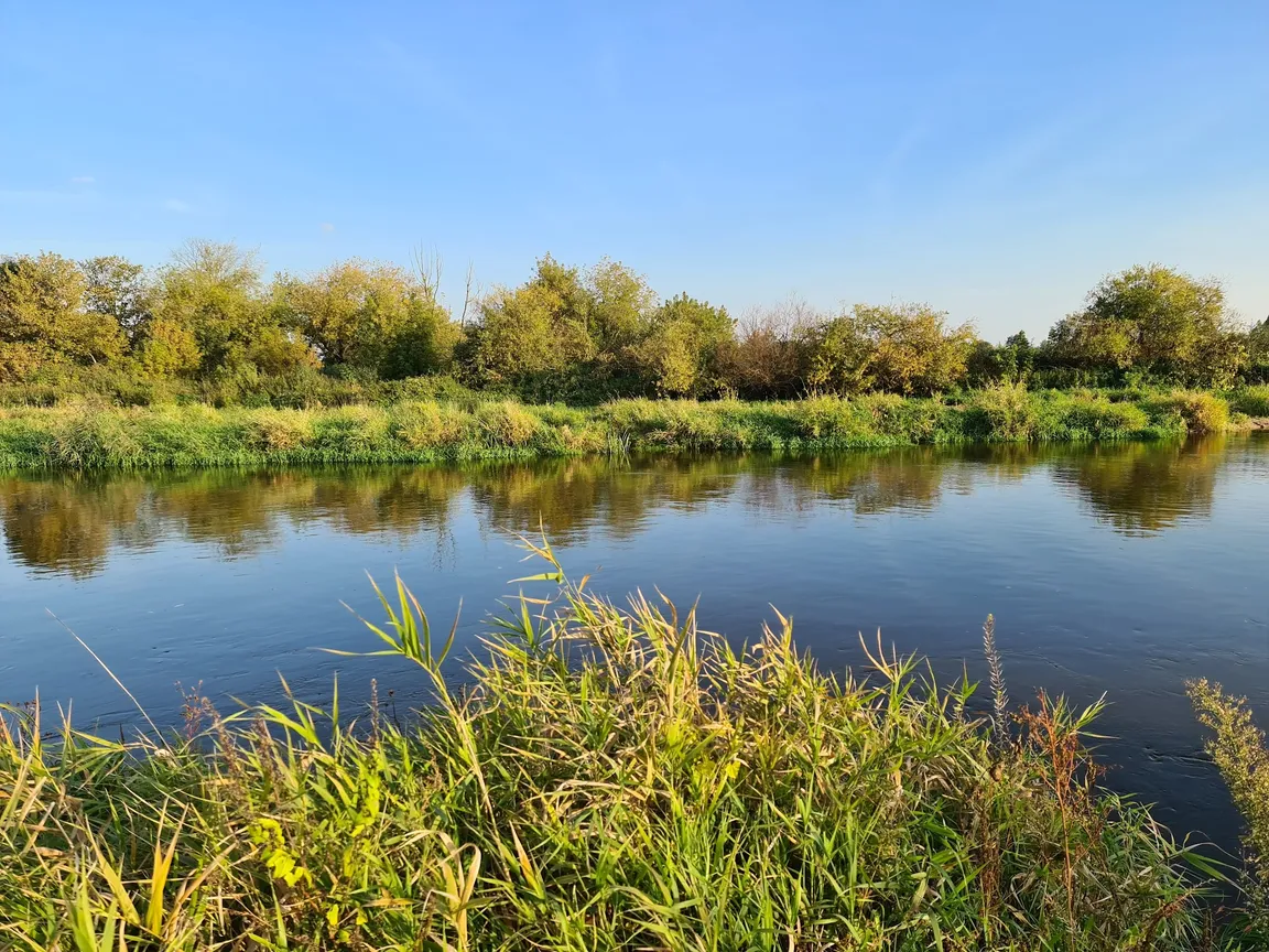 Plaża Miejska