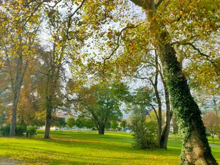 Parc de Capèle
